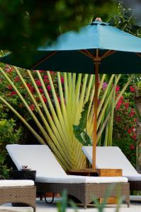 Owa Lodge Areguling