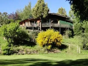 Abedules - Villa Llanquin