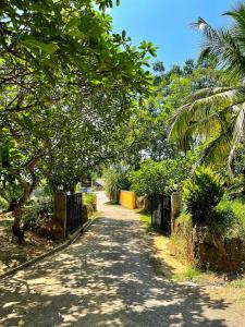 Cozy Green Cabin By Tangalle Beach