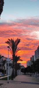 Diora Vila Park Apartment