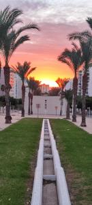 Diora Vila Park Apartment