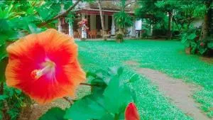 Araliya Villa Hikkaduwa - Nalagasdeniya