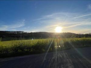 South Downs Haven nr Petersfield and Goodwood