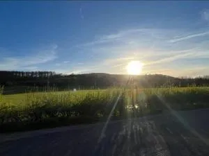 South Downs Haven nr Petersfield and Goodwood - Sheet