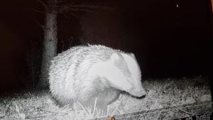 The Old Coach House at Stewton