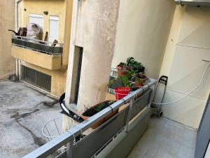 Cozy apartment in Athens