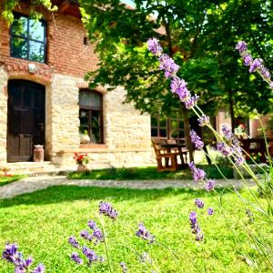Casa cu piscina Cheile Nerei