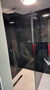 Ferienwohnung SPA Delluxe Essen