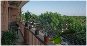 Luxury Heritage Umaid 3BHK Apartment Jodhpur