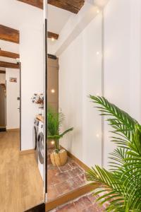 Appartements Adira Marseille Panier 2 etoiles : photos des chambres