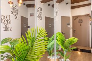 Appartements Adira Marseille Panier 2 etoiles : photos des chambres