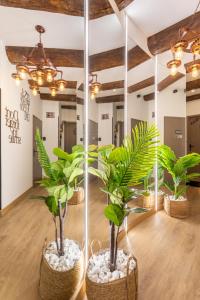 Appartements Adira Marseille Panier 2 etoiles : photos des chambres