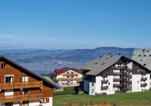 Appartements Le Flocon de Thollon : Appartement 1 Chambre