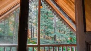 Happy Returns Home, Jibhi - Jibhi