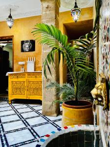 Casa Indigo