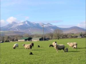 2 Bed Flat - Sleeps 4 - Garden - Parking - Wifi