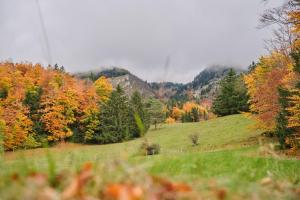 Appartements Appartement Familial De Montagne : Appartement 3 Chambres Supérieur