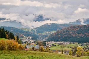 Appartements Appartement Familial De Montagne : photos des chambres