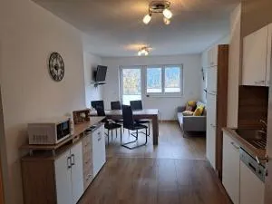 Appart Holzknecht - Winklen