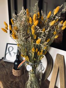 Maisons de vacances La Maison des Vignes - Terrasse & balcon : photos des chambres