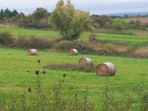 Gite Lhirondelle en Auvergne