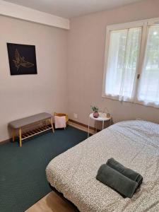 Appartements T4 rennais -Metro & Rocade : photos des chambres