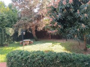 Casa entera con jardín en Luque!