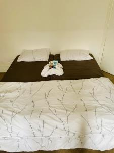 Spacious Room near central london