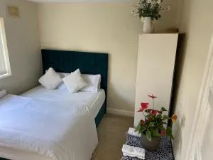 91 property - 希夫纳尔