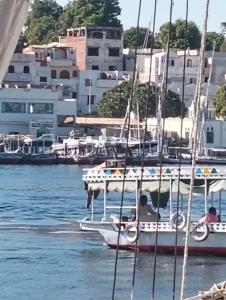 elephantine nile view house