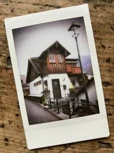 PinkDeer - Gosaumühle