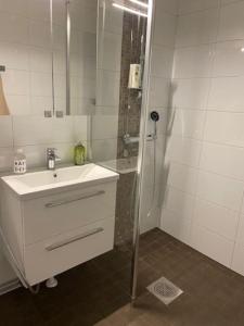 Käytännöllinen yksiö rauhallisella alueella!