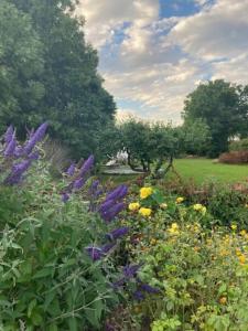 Sejersminde Bed and Breakfast