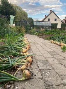 Sejersminde Bed and Breakfast