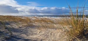 Vakantie-Blankenberge The One