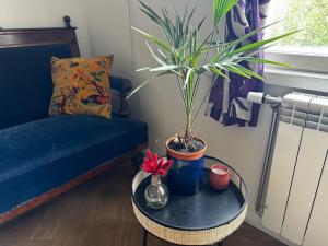 Cozy apartment in Tallinn