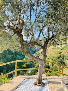 Villa Jardines de Guara