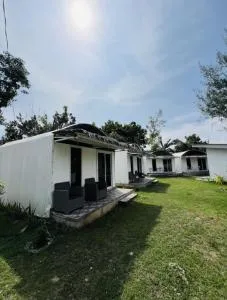 Lily Paradise - Paliton Lily Paradise - Paliton