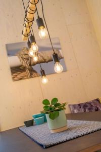 Lucky Bay - Ecohuisjes Terschelling