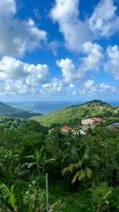 Horizon Karayib - Bellay