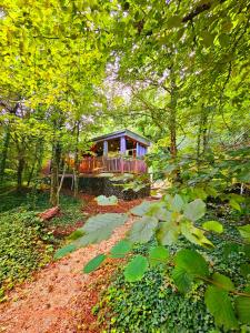 La Cabane Enchanteresse