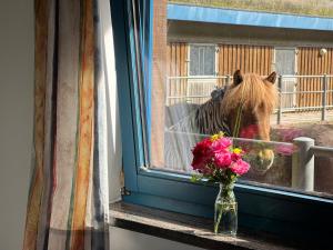Ferienwohnung Isi-Blick