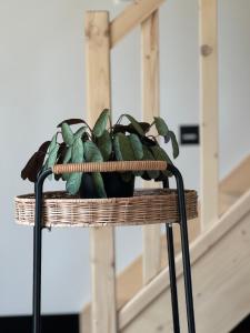 Sielskie Chatki - domki Twardorzeczka Lipowa