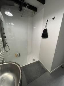 Appartements Loft Royal des Promenades : photos des chambres