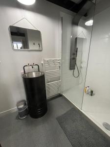 Appartements Loft Royal des Promenades : photos des chambres