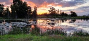 Varykino Estate - 3hvězdičkové hotely ve městě Knysna