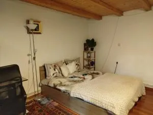 Casa cu amintiri - Bacău