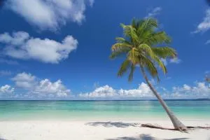 Sevinex Inn - Himandhoo 