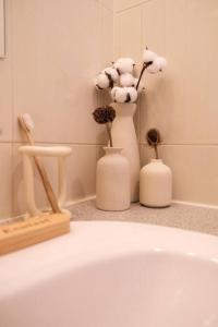 Appartements Lit King Size Tres Cosy Hyper Centre de Foix Calme : photos des chambres