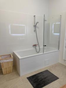 Stilvolles zentrales Apartment im schönsten Bezirk Wiens - parking upon request